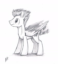 Size: 1914x2121 | Tagged: safe, artist:navigatoralligator, character:flash sentry, grayscale, male, monochrome, simple background, solo