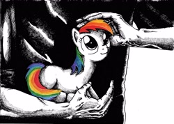 Size: 4931x3514 | Tagged: safe, artist:smellslikebeer, character:rainbow dash, species:human, species:pony, black and white, blank flank, crosshatch, grayscale, holding a pony, ink, looking up, monochrome, neo noir, partial color, petting, prone, traditional art, wingless