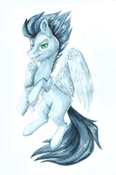 Size: 1150x1729 | Tagged: safe, artist:pellsya, character:soarin', blank flank, male, solo, traditional art, watercolor painting