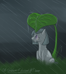 Size: 600x666 | Tagged: safe, artist:nos-talgia, character:marble pie, female, leaf, rain, solo