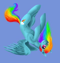 Size: 900x943 | Tagged: safe, artist:tzelly-el, character:rainbow dash, species:pegasus, species:pony, g4, blue background, female, mare, simple background, solo