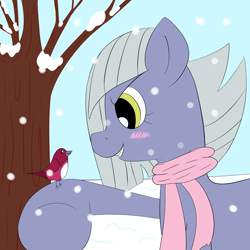 Size: 2000x2000 | Tagged: safe, artist:periodicbrony, character:limestone pie, species:bird, species:earth pony, species:pony, 30 minute art challenge, blushing, clothing, cute, female, limabetes, mare, scarf, snow, snowfall, solo
