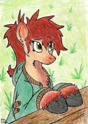 Size: 800x1127 | Tagged: safe, artist:inkbleederwolf, oc, oc only, oc:nora, species:earth pony, species:pony, clothing, earring, farm, female, hoodie, mare, piercing, ponytail, red hair, solo, traditional art, unshorn fetlocks