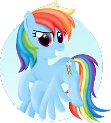 Size: 3000x3318 | Tagged: safe, artist:mahaugher, character:rainbow dash, female, solo
