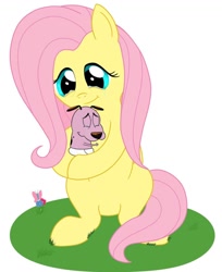 Size: 900x1102 | Tagged: safe, artist:nobody47, character:fluttershy, baby, courage the cowardly dog, crossover, crying, diaper, fluttermom, hug