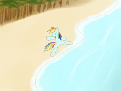 Size: 1024x768 | Tagged: safe, artist:periodicbrony, character:rainbow dash, newbie artist training grounds, beach, castaway, eyes closed, female, solo, water