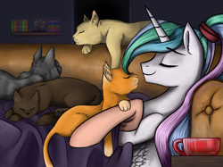 Size: 1869x1399 | Tagged: safe, artist:ognifireheart, character:princess celestia, alternate hairstyle, blanket, cat, clothing, comfy, couch, eyes closed, female, on back, ponytail, socks, solo