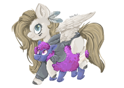Size: 3508x2480 | Tagged: safe, artist:biskhuit, oc, oc only, oc:akaszi, species:pegasus, species:pony, clothing, ewe, female, high res, mare, simple background, transparent background
