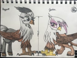 Size: 4032x3024 | Tagged: safe, artist:gtx, character:gilda, species:classical hippogriff, species:griffon, species:hippogriff, female, story included, traditional art