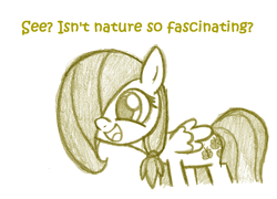 Size: 1078x778 | Tagged: safe, artist:lilboulder-cloudsdalefillies, character:fluttershy, species:pegasus, species:pony, ask cloudsdale fillies, dialogue, excited, female, filly, filly fluttershy, hair over one eye, meme, nature is so fascinating, open mouth, simple background, sketch, smiling, standing, white background, younger