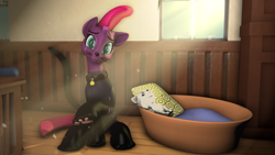 Size: 1920x1080 | Tagged: safe, artist:jachau, character:fizzlepop berrytwist, character:tempest shadow, species:pony, species:unicorn, my little pony: the movie (2017), 3d, :3, animal costume, bed, broken horn, cat, cat costume, clothing, collar, costume, cute, eye scar, female, head tilt, looking at you, mare, pet bed, pet tag, plushie, scar, sitting, smiling, solo, source filmmaker, suit, tempestbetes, whiskers