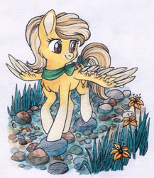 Size: 943x1086 | Tagged: safe, artist:red-watercolor, oc, oc only, oc:lemon drop, species:pegasus, species:pony, bow, cheek fluff, chest fluff, creek, cute, female, flower, gradient hooves, mare, simple background, solo, spread wings, tail bow, traditional art, watercolor painting, white background, wings