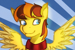 Size: 1080x720 | Tagged: safe, artist:fizzlesoda2000, oc, oc only, oc:pen, species:pegasus, species:pony, bust, clothing, male, scarf, smiling, solo, spread wings, stallion, wings