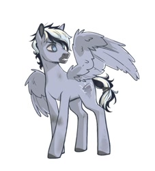 Size: 1000x1100 | Tagged: safe, artist:sapraitlond, oc, oc only, species:pegasus, species:pony, male, simple background, solo, stallion, teeth, white background