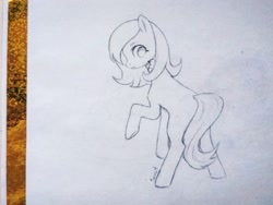 Size: 1280x960 | Tagged: safe, artist:sapraitlond, oc, oc only, species:bird, species:earth pony, species:pony, female, looking back, mare, monochrome, raised hoof, sketch, traditional art