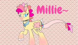 Size: 1094x633 | Tagged: safe, artist:spero, oc, oc:millie, abstract background, blank flank, blue eyes, clothing, collar, eyebrows, female, leonine tail, looking at you, markings, opossum pony, original species, raised hoof, rat tail, scarf, short hair, spiked collar, text