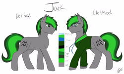 Size: 5000x3000 | Tagged: safe, artist:kensynvalkry, oc, oc:jackorace, species:earth pony, species:pony, clothing, glasses, male, multicolored hair, reference sheet, stallion, sweater