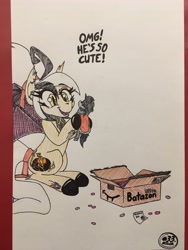 Size: 3024x4032 | Tagged: safe, artist:gtx, character:king sombra, oc, oc only, oc:fever dream, species:bat pony, species:pony, bat pony oc, female, mare, package, packing peanuts, plushie, solo, traditional art