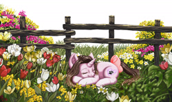 Size: 2157x1286 | Tagged: safe, artist:erim-kawamori, oc, oc only, oc:cindy, species:pony, species:unicorn, bow, eyes closed, female, fence, flower, flower field, grass, mare, outdoors, prone, sleeping, smiling, solo, tail bow