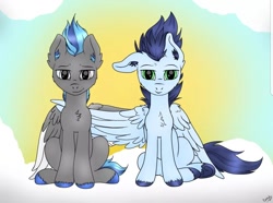 Size: 1080x802 | Tagged: safe, artist:monsoonvisionz, character:soarin', oc, oc:cobalt rush, species:pegasus, species:pony, duo, duo male, male, stallion
