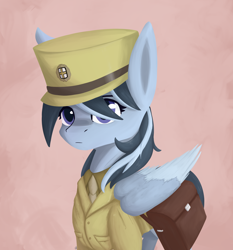 Size: 1820x1950 | Tagged: safe, artist:phi, oc, oc only, species:pegasus, species:pony, equestria at war mod, clothing, simple background, solo