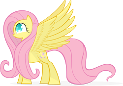 Size: 5751x4000 | Tagged: safe, artist:kalleflaxx, character:fluttershy, species:pegasus, species:pony, cute, eye, eyelashes, eyes, female, long mane, shy, shy smile, shyabetes, simple background, slight smile, smiling, solo, spread wings, standing, transparent background, vector, wingboner, wings