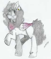 Size: 2000x2319 | Tagged: safe, artist:adilord, oc, species:pegasus, species:pony, clothing, colored wings, female, folded wings, mare, scarf, simple background, solo, traditional art, white background, wings