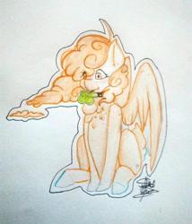 Size: 720x842 | Tagged: safe, artist:shiroikitten, oc, oc:vanilla cloudy, species:pegasus, species:pony, cloud mane, clover, female, four leaf clover, mare, solo, traditional art