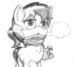 Size: 649x598 | Tagged: safe, artist:spackle, oc, oc only, oc:amber evergreen, oc:buck evergreen, species:earth pony, species:pony, blushing, chest fluff, clothing, female, lidded eyes, mare, monochrome, rule 63, scarf, simple background, solo, traditional art, visible breath