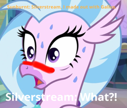 Size: 651x556 | Tagged: safe, artist:gooeybird, edit, edited screencap, screencap, character:silverstream, species:hippogriff, episode:student counsel, 1000 hours in ms paint, blushing, blushing profusely, caption, cropped, female, implied gallburst, implied gallstream, implied gallus, implied gay, implied griffon on pony action, implied pony on griffon action, implied shipping, implied sunburst, meme, misspelling, questioning, say what, shocked expression, solo, sweat, sweating profusely