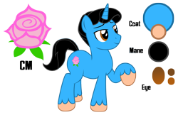Size: 2409x1563 | Tagged: safe, artist:darkstorm619, oc, oc only, oc:dew drop, species:pony, species:unicorn, cutie mark, fetlock tuft, male, reference sheet, simple background, solo, transparent background