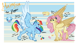 Size: 1500x854 | Tagged: safe, artist:seffiron, character:fluttershy, character:rainbow dash, species:pony, feathered fetlocks, fluffy, redesign, tail feathers, two toned wings, wings