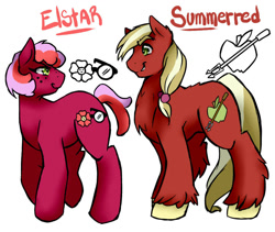 Size: 950x800 | Tagged: safe, artist:joint-parodica, artist:jointsupermodel, oc, oc:elstar, oc:summer red, parent:big macintosh, parent:cheerilee, parents:cheerimac, species:earth pony, species:pony, brother and sister, female, freckles, looking at each other, male, mare, offspring, siblings, simple background, stallion, unshorn fetlocks, white background