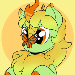 Size: 1000x1000 | Tagged: safe, artist:housho, oc, oc only, oc:lemongrass, species:kirin, butterfly, butterfly on nose, cute, female, insect on nose, kirin oc, mare, ocbetes, simple background, solo