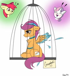 Size: 1280x1373 | Tagged: safe, artist:monsoonvisionz, character:apple bloom, character:scootaloo, character:sweetie belle, species:earth pony, species:pegasus, species:pony, species:unicorn, cage, collar, colored wings, colored wingtips, confused, cutiemarking, feather, female, filly, implied rainbow dash, laughing, scootaloo is not amused, simple background, sitting, spread wings, two toned wings, unamused, white background, wings, wristband