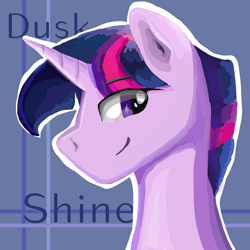 Size: 1024x1024 | Tagged: safe, artist:wimple, character:twilight sparkle, oc:dusk shine, head, male, rule 63, solo