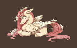 Size: 2200x1360 | Tagged: safe, artist:olivecow, character:fluttershy, species:pegasus, species:pony, female, floppy ears, flower, flower in hair, flower in tail, folded wings, hair over one eye, long mane, long tail, mare, missing cutie mark, prone, redesign, simple background, smiling, solo, stray strand, wings