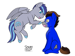 Size: 4000x3000 | Tagged: safe, artist:soupyfox, oc, oc only, oc:aspen volare, oc:ennex, species:earth pony, species:pegasus, species:pony, boop, flying, glasses, male, simple background, sitting, transparent background