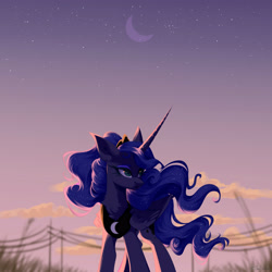 Size: 4000x4000 | Tagged: safe, artist:jun1313, character:princess luna, species:alicorn, species:pony, absurd resolution, chest fluff, crescent moon, ear fluff, female, mare, moon, night, power line, sky, solo, stars