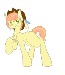 Size: 650x750 | Tagged: safe, artist:flow3r-child, oc, oc only, parent:big macintosh, parent:fluttershy, parents:fluttermac, species:earth pony, species:pony, blank flank, clothing, colt, cowboy hat, feather, freckles, hat, male, offspring, raised hoof, simple background, solo, transparent background