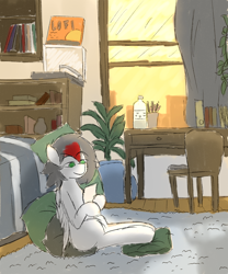Size: 2500x3000 | Tagged: safe, artist:move, oc, oc only, oc:move, species:pegasus, species:pony, bed, bookcase, carpet, chair, furniture, gray mane, green eyes, grey fur, lofi, male, pillow, plants, record player, room, solo, sunset, table, window