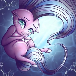 Size: 2048x2048 | Tagged: safe, artist:ericsson, oc, oc only, oc:clear skies, oc:clear sky, species:earth pony, species:pony, bubble, returned, shine, solo, underwater, water