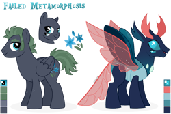 Size: 1024x683 | Tagged: safe, artist:kabuvee, oc, oc only, species:changeling, species:pegasus, species:pony, species:reformed changeling, four eyes, male, simple background, stallion, transparent background