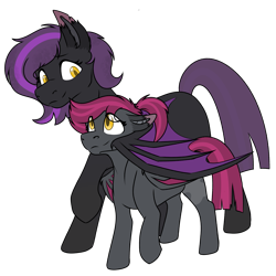 Size: 1839x1836 | Tagged: source needed, safe, artist:rokosmith26, oc, oc only, oc:lunier constantine, oc:midnight taffy, species:bat pony, species:pony, g4, duo, duo female, ear fluff, female, filly, folded wings, holding, lifted leg, looking at each other, mare, ponytail, short hair, simple background, transparent background, wings