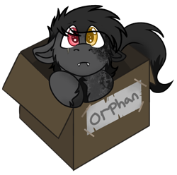 Size: 564x559 | Tagged: safe, artist:rokosmith26, part of a set, oc, oc only, oc:minx, species:bat pony, species:pony, g4, box, cheek fluff, chibi, colored, colt, cute, eye clipping through hair, floppy ears, heterochromia, hoof fluff, looking at you, male, markings, puppy dog eyes, roko's box ponies, short hair, simple background, solo, tail, teeth, text, tooth, transparent background