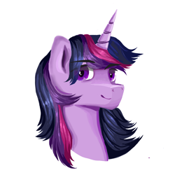 Size: 3000x3000 | Tagged: safe, artist:wimple, character:twilight sparkle, oc:dusk shine, species:pony, species:unicorn, g4, head, rule 63, simple background, solo, white background