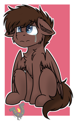 Size: 1132x1776 | Tagged: safe, artist:rokosmith26, oc, oc only, oc:hell berry, species:pegasus, species:pony, g4, blue eyes, brown mane, cheek fluff, chest fluff, colt, ear fluff, floppy ears, fluffy, looking up, male, sad, short hair, simple background, sitting, solo, spread wings, tail, teary eyes, wings, young, younger