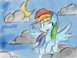 Size: 1024x768 | Tagged: safe, artist:ameliayap, character:rainbow dash, species:pegasus, species:pony, g4, female, moon, night, solo