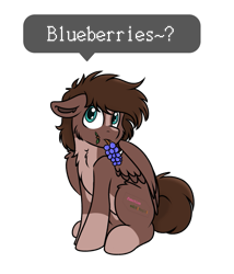 Size: 695x812 | Tagged: safe, artist:rokosmith26, oc, oc only, species:pegasus, species:pony, g4, blue eyes, blueberry, brown mane, cheek fluff, chest fluff, cute, floppy ears, food, leaf, looking up, male, markings, short hair, simple background, sitting, solo, spread wings, stallion, tail, text, transparent background, wings