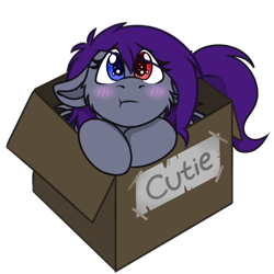 Size: 569x570 | Tagged: safe, artist:rokosmith26, part of a set, oc, oc only, oc:sonar amethyst, species:bat pony, species:pony, g4, blushing, box, cheek fluff, chibi, commission, cute, eye clipping through hair, female, floppy ears, heterochromia, looking at you, mare, pony in a box, pouting, puppy dog eyes, roko's box ponies, simple background, solo, tail, text, transparent background, ych result